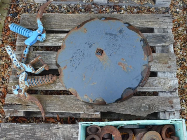 SCALLOPED DISCS