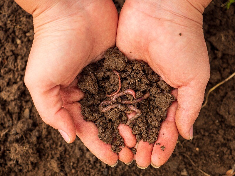 managing soil