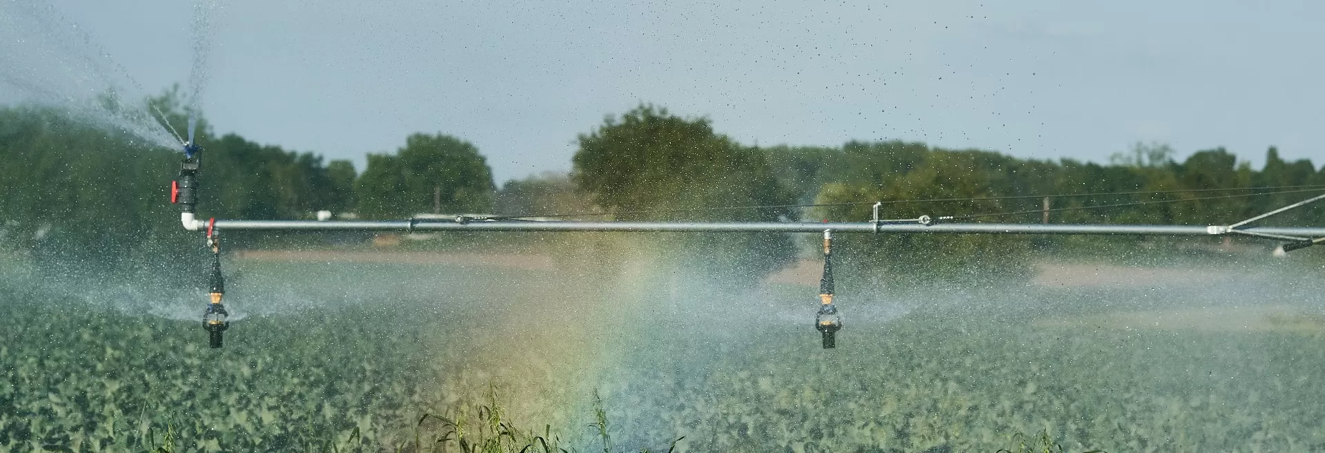 Agricultural irrigator watering crops