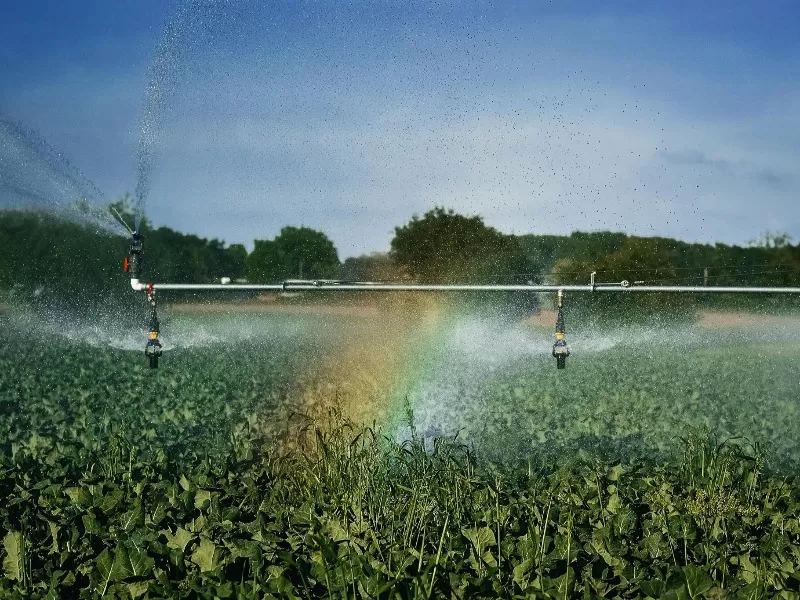 Irrigation Sprinklers